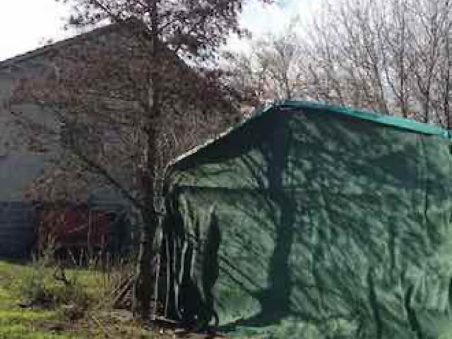 Lama- und Alpakawandern in Rheinhessen. Mit Lamas und Alpakas einen unvergesslichen Tag erleben.