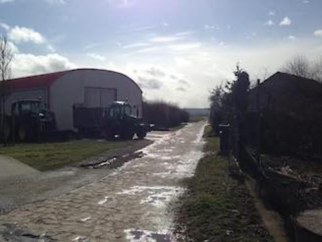 Lama- und Alpakawandern in Rheinhessen. Mit Lamas und Alpakas einen unvergesslichen Tag erleben.