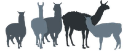 Lama- und Alpakawandern/ Termin buchen